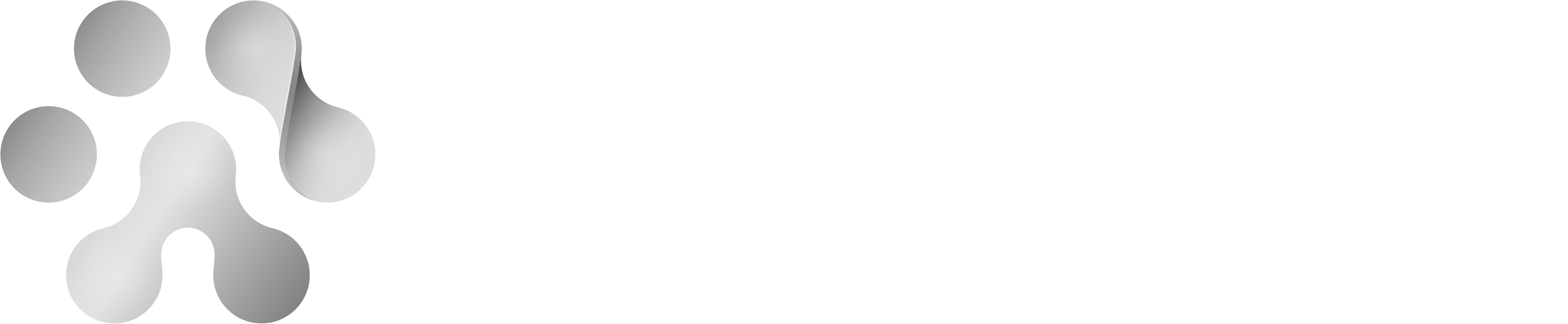 Numelvi logo